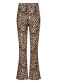 D-zine meisjes broek